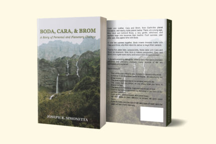 WEBSITE BODA MOCKUP  JULY 1  22 1 scaled