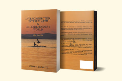 WEBSITE INTERCONNECTED MOCKUP  JULY 1  22 1 scaled