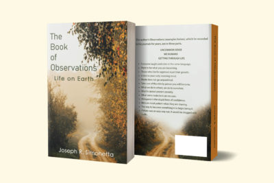 WEBSITE OBSERVATIONS MOCKUP JULY 1 22 1 scaled