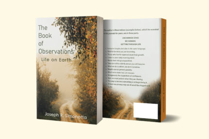 WEBSITE OBSERVATIONS MOCKUP  JULY 1  22 1 scaled
