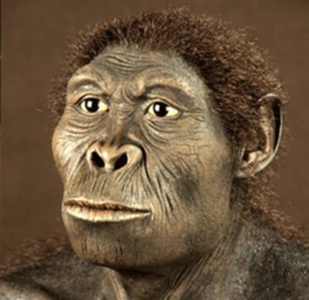 Evolution 19 Evolution 19