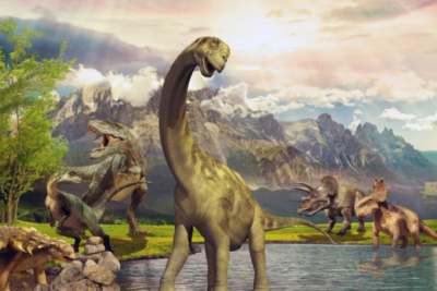 Evolution 4 Evolution 4