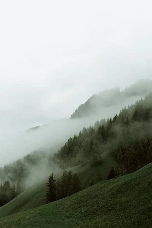 pexels photo 4406292