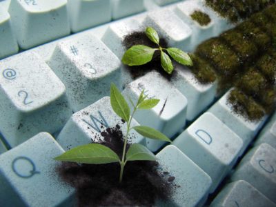 Keyboard and nature