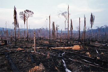 biodiversity threat 1 biodiversity threat 1