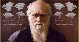 Evolution Darwin