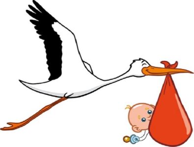 Stork Theory Stork Theory