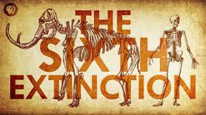 6th extinction 6th extinction