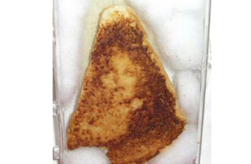 Grilled cheese sandwich Grilled cheese sandwich