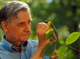 E. O. Wilson