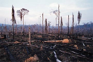 Extinction 3