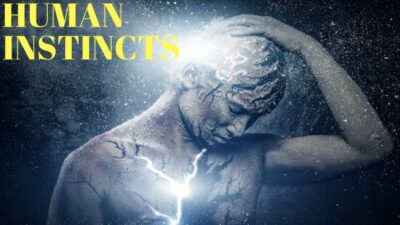 Instincts